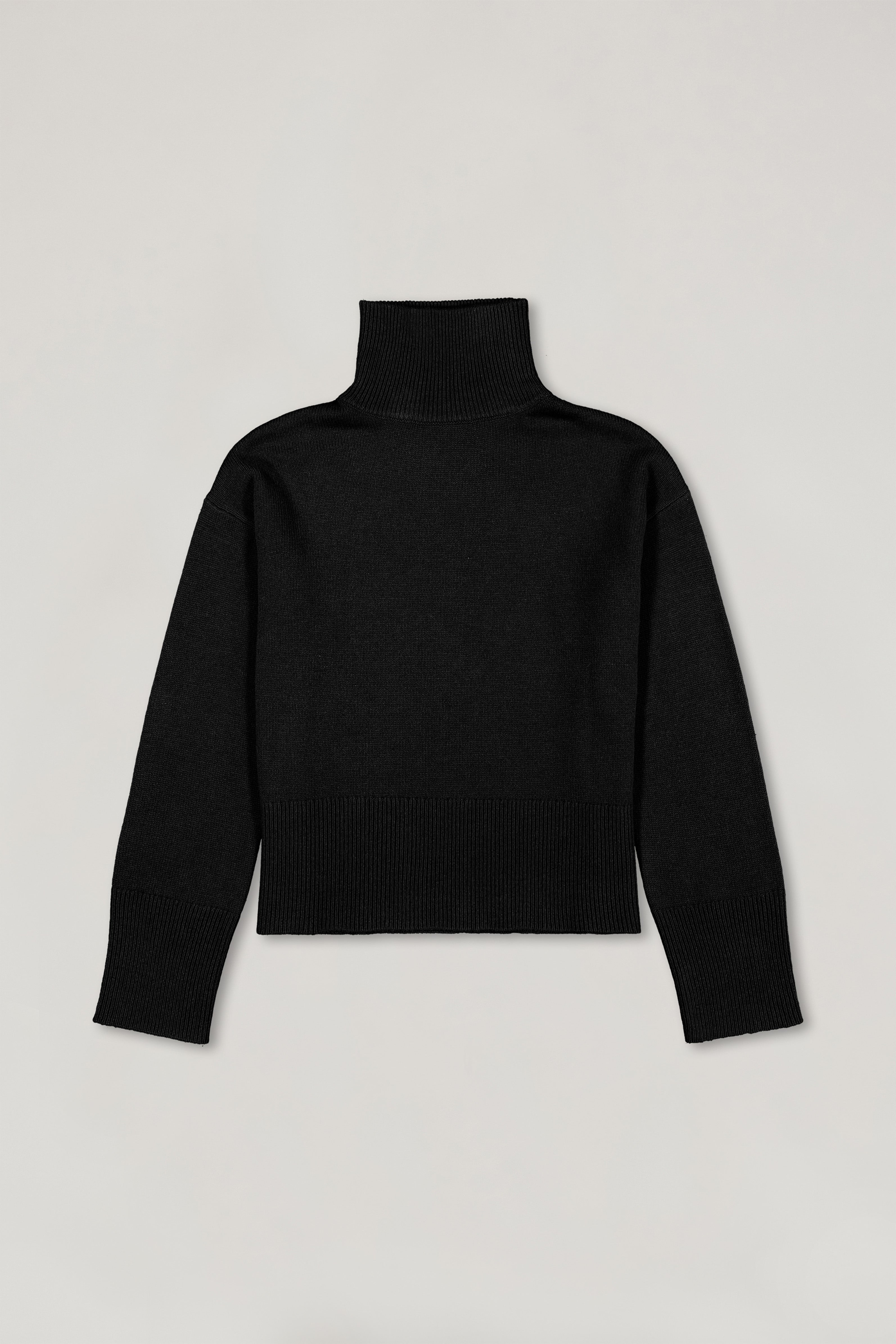 Boxy turtleneck hotsell